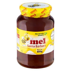 Mel Florada Silvestre Mel Santa Bárbara Vidro 800g