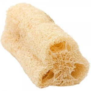 Sveda Bucha Vegetal Pedaco