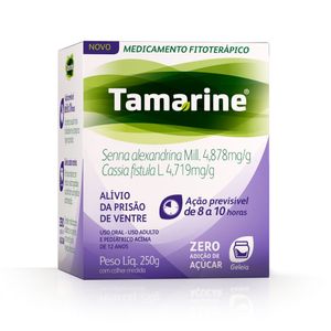 TAMARINE GELEIA ZERO ACUCAR 250 G x 1